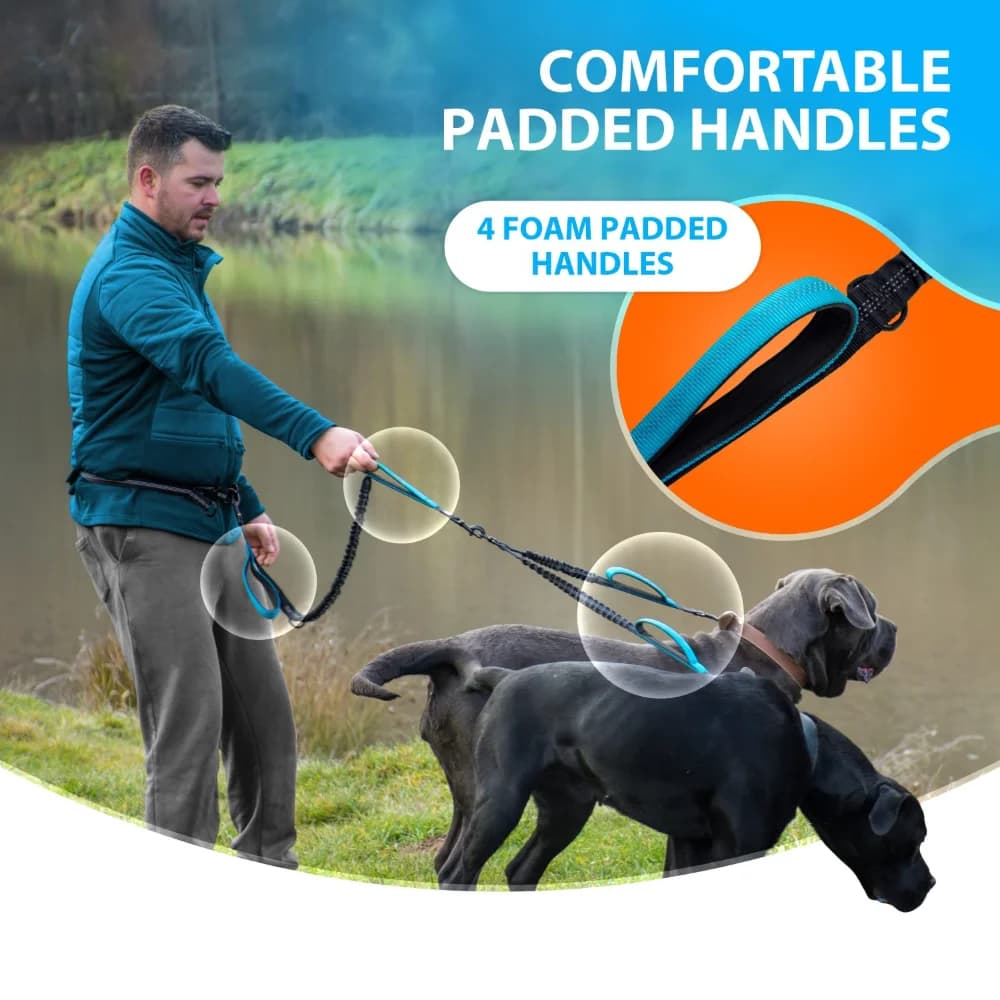 Guinzaglio Doppio Anti-Groviglio per Cani di Taglia Media e Grande 360 ° Design Girevole Anti-Groviglio con Manici Imbottiti e Cuciture Riflettenti 16 f