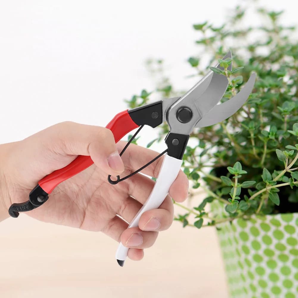 Plant scissors Hand tools for the house Shelf shears Garden plant cutting scissors Cutlery cutter Cutlery Garden equipment Hand tools for the house Shelf shears