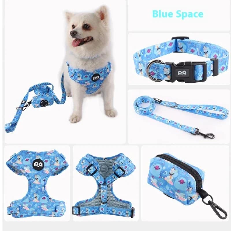 Set Pettorina e Guinzaglio Stampati per Cani - Collare Regolabile per Passeggiate Sicure ed Eleganti