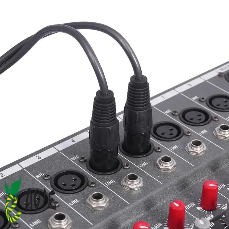 Cavo audio per microfono altoparlante attivo amplificatore di potenza mixer cavo XLR a 3 core da 2RCA a 2Xlr