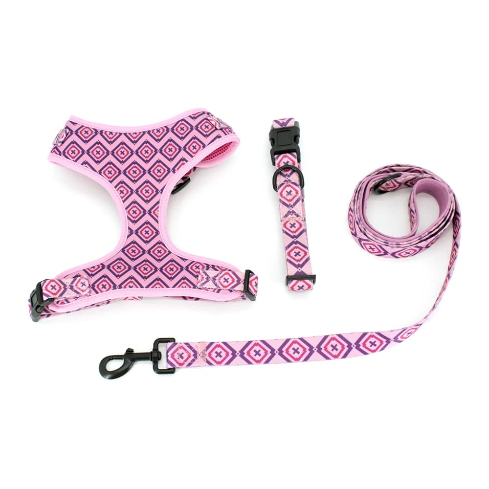 Collare per cani da compagnia regolabile Morbido e traspirante Simpatico design creativo a griglia colorata Guinzaglio in neoprene Dispenser per sacchetti per cacca
