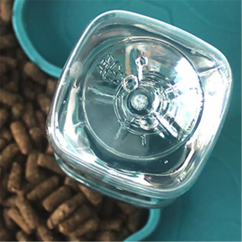 Piccola ciotola per animali domestici per rettili e anfibi Forniture per animali rimovibili Alimentatore per rettili Ricarica automatica Waterer Piatto per alimenti per tartarughe
