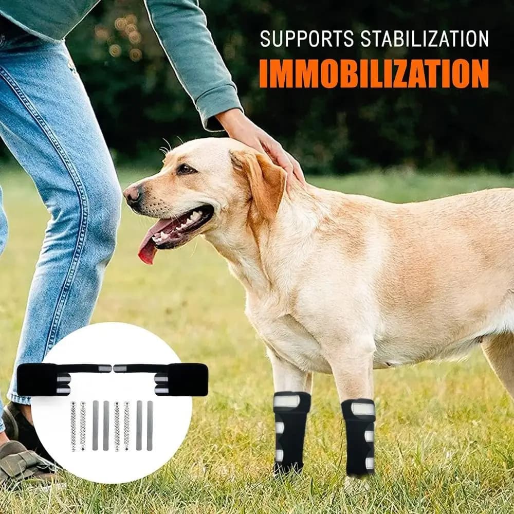1PC strisce per PC portatili tutore per gamba anteriore per cani strisce riflettenti supporto articolare antiscivolo cinghie regolabili traspiranti ginocchiera