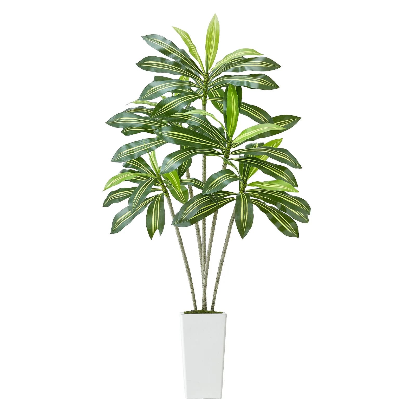 1.8 m Artificial Dracaena in Interior Vase, Home Decorative Fin Plant
