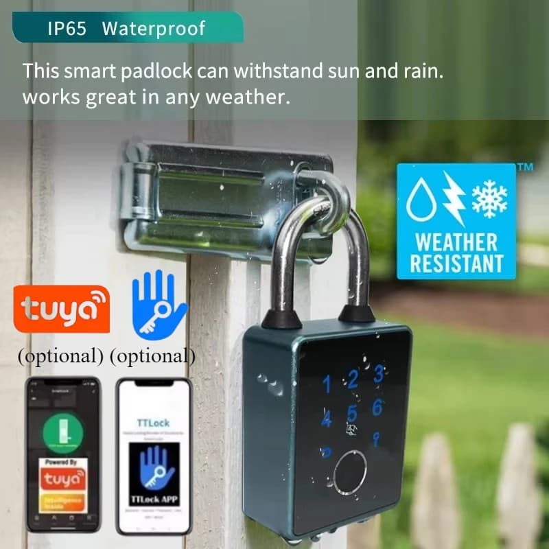 TTlock/Tuya Smart Lock Porta Lucchetto biometrico per impronte digitali Password IC Card APP Sblocco serratura elettronica cerradura inteligente
