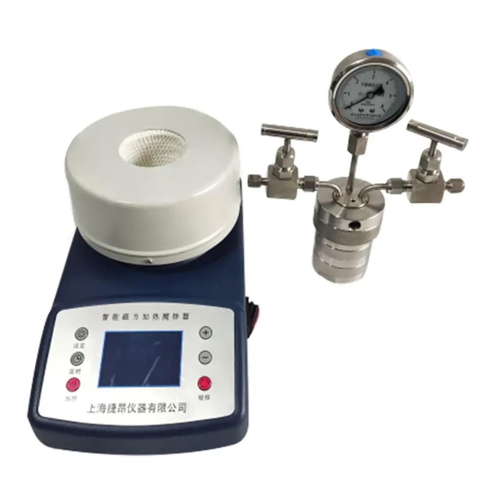 100ml Hydrothermal Synthesis Autoclave, Stainless Steel Table Reaction Pen for High Temperatures and High Pressure