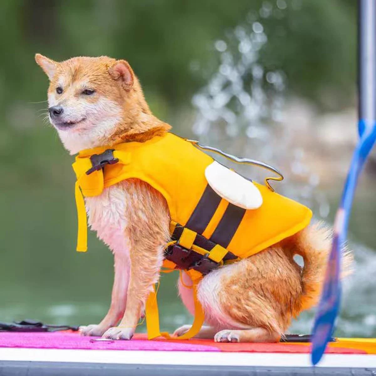 Dog Life Jacket Reflective Adjustable Dog Flotation Swim Vest Enhanced Buoyancy Dog Sailboats Surfing Safety Vest Summer