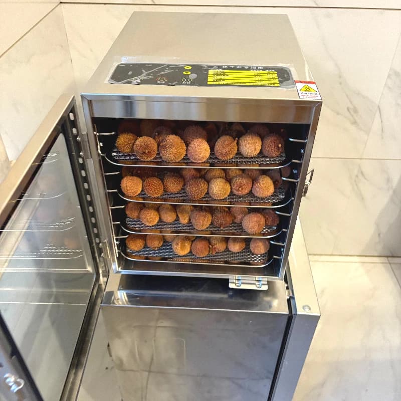 Piccolo nuovo stile Essiccatore per frutta e verdura Snack per animali domestici Piccolo essiccatore per frutta domestico Essiccatore per carne secca con collo d'anatra Alimenti