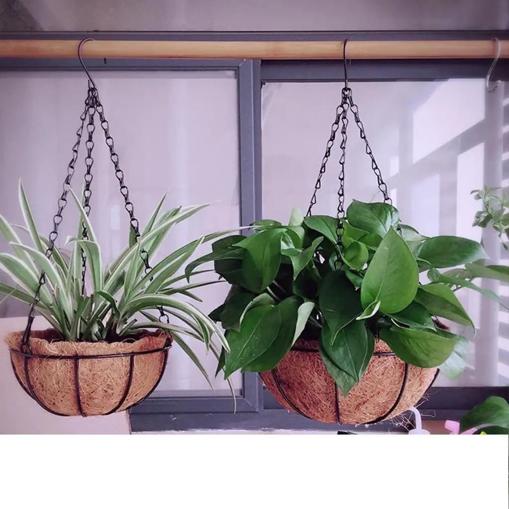Prodotti da giardino, cesto sospeso in metallo nero per cocco, vaso per bonsai, decorazioni per balcone
