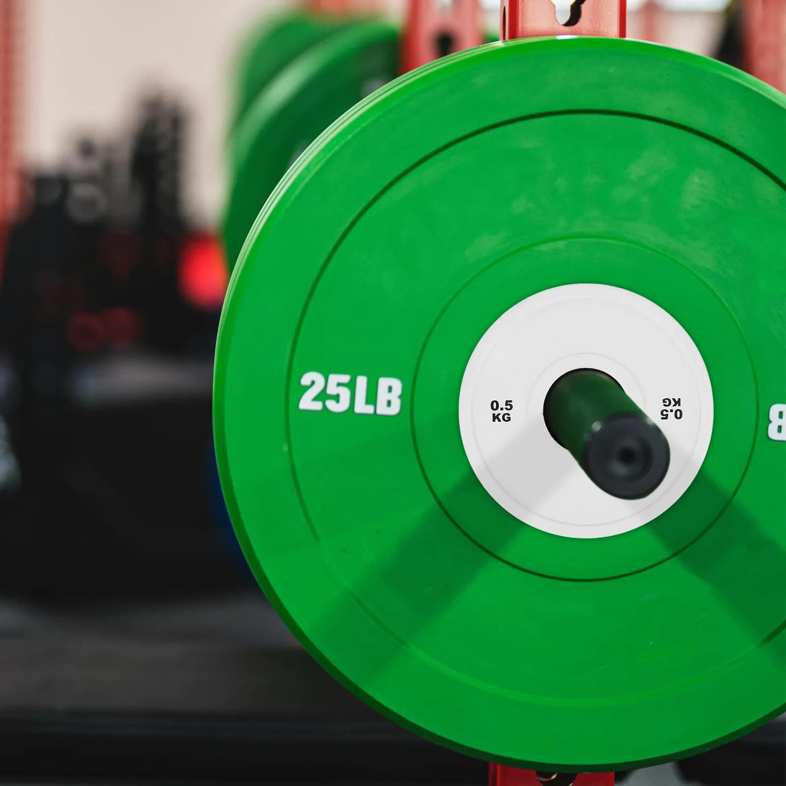 Steel Core Barbell Plates Rubber Coated White 0.5kg Small Weight Plates for Home Gym Strength Training and Weightlifting