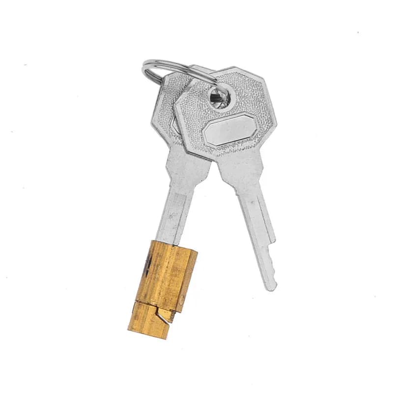 Upgraded Copper Lock Core Small Concealed Head Replacement Accessory for Male Chastity Device Freezer Cage with 2 Keys