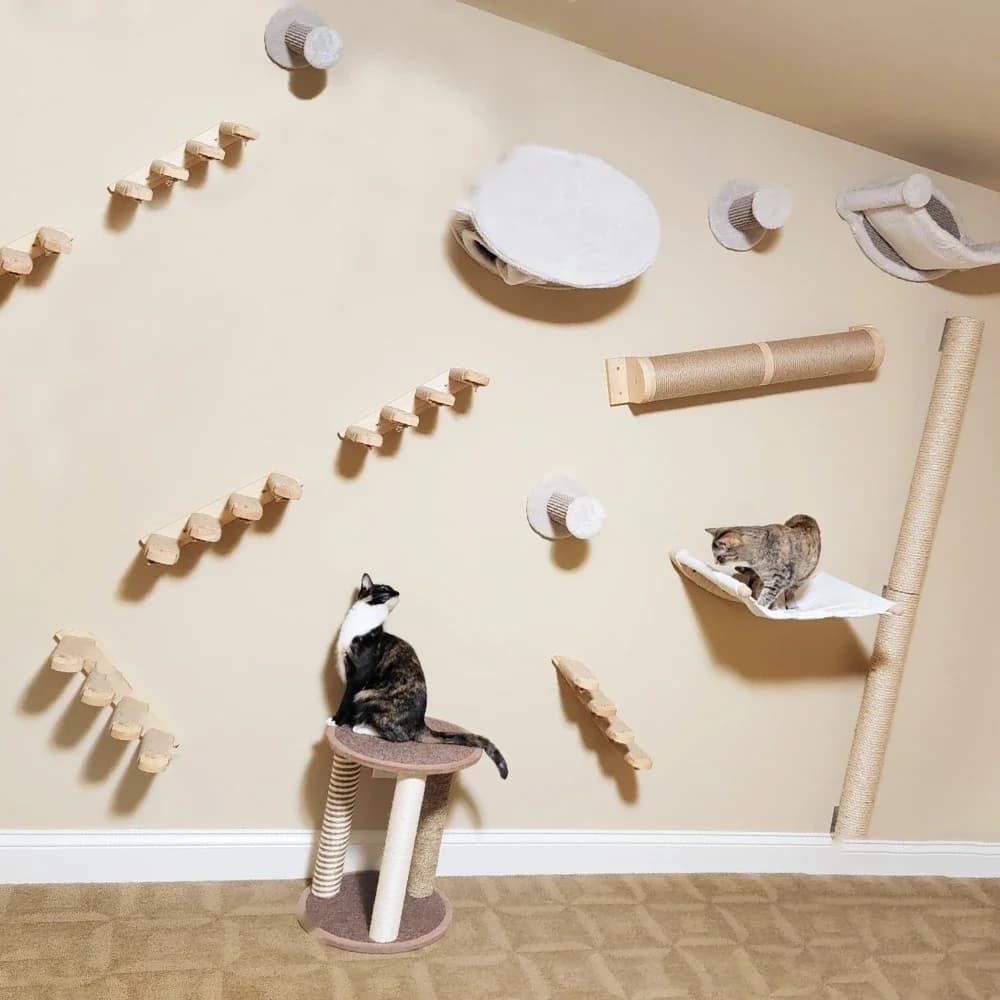 Wall mounted cat shelves for cat tree Tiragraffi for deck for cats and wooden wall furniture with rope scale for cats