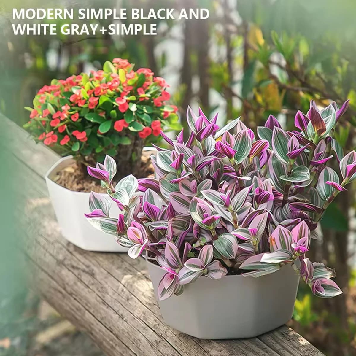 Set di Vasi per Fiori Semplici, Fioriera per Piante Succulente con Ampia Apertura e Vassoio Inferiore, Vaso da Interno Durevole per Uso Domestico
