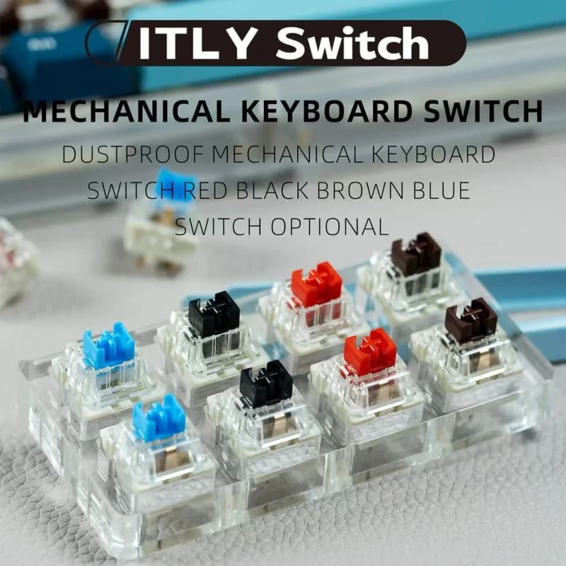 ITLY Interruttori per tastiera meccanica per fai da te, compatibili con gli interruttori Cherry in rosso, blu, marrone e nero.