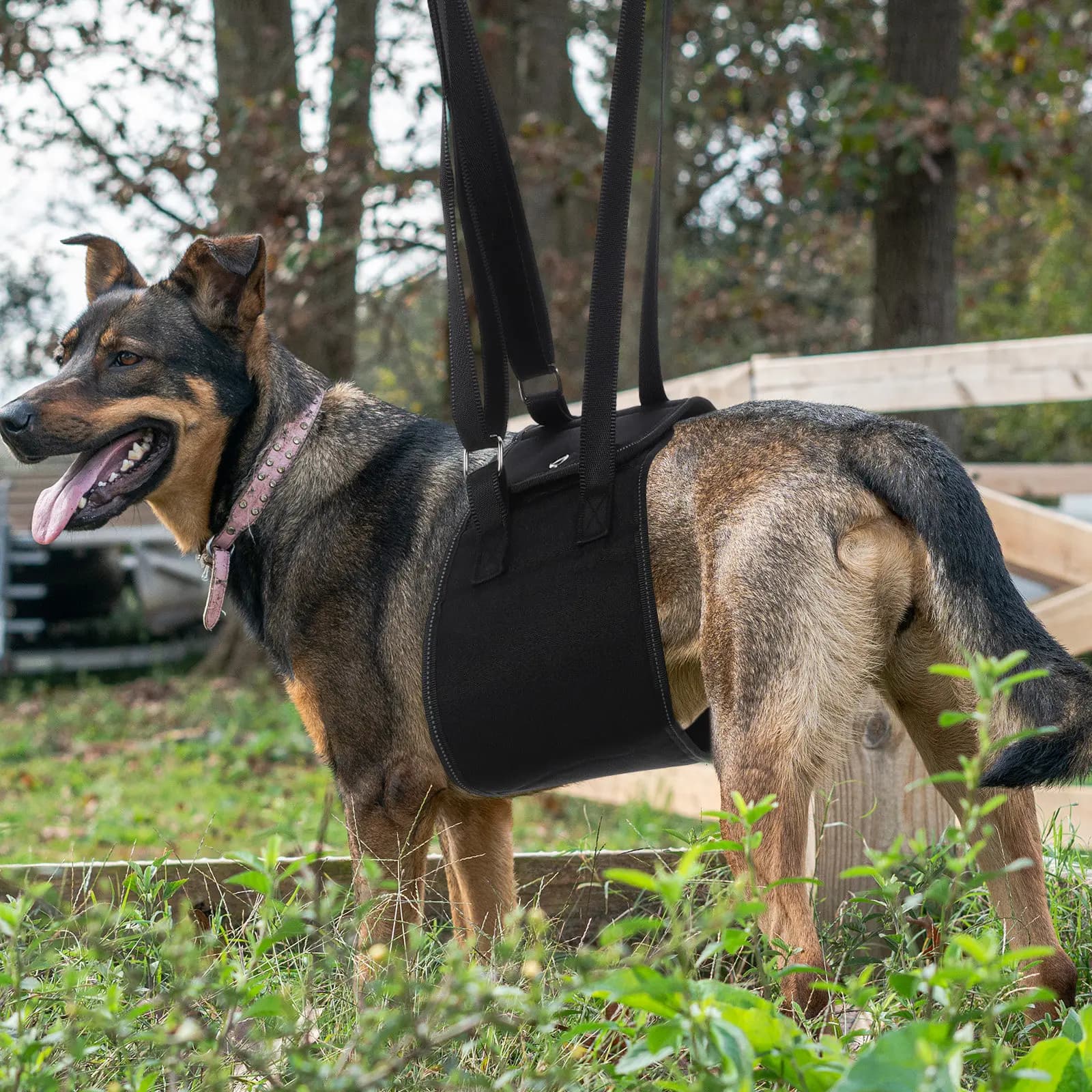Reflective Pettorina for Dogs with Robusto Manico Posteriore, Gilet Light Anti-Feel and Comfortable for Open Walks, Race and Car Trips, Black