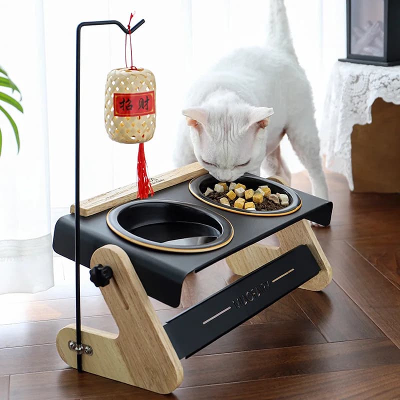 Ciotola per cani doppia Ciotola per gatti Grande ciotola per cibo per gatti regolabile Alimentatore per cani Irrigazione Forniture per alimenti per animali Ciotole per cuccioli Accessori per gatti