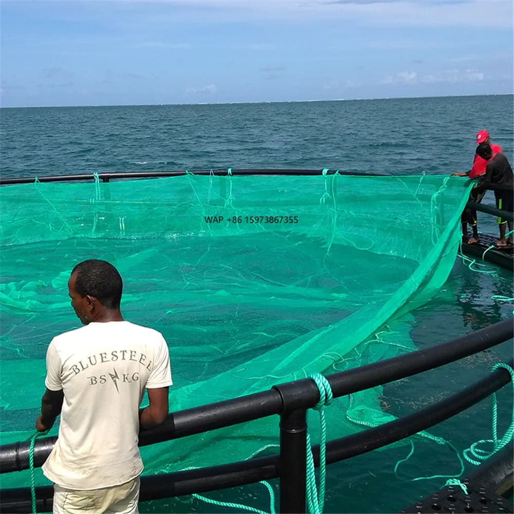 Reti da pesca trappola per allevamento di animali domestici per allevamenti di pesci