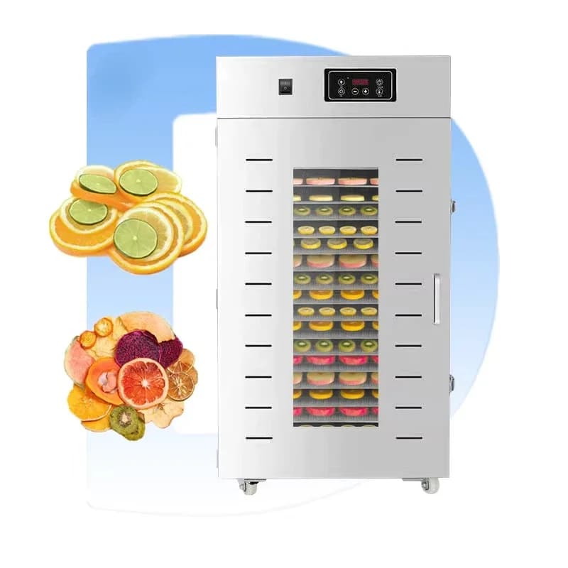 Lifilizador Liofilizzatore Mini Alimenti Liofilizzatore sottovuoto Banana Frutta secca