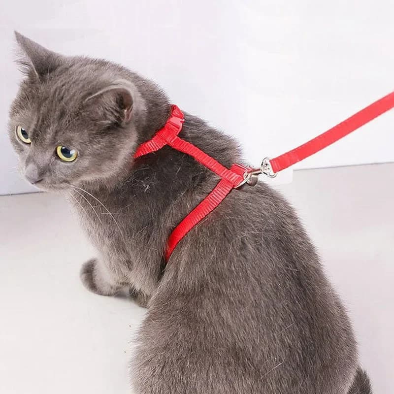 Set di Imbracatura e Guinzaglio per Gatti, Anti-Fuga, Regolabile, per Gatti Grandi e Piccoli, Leggero