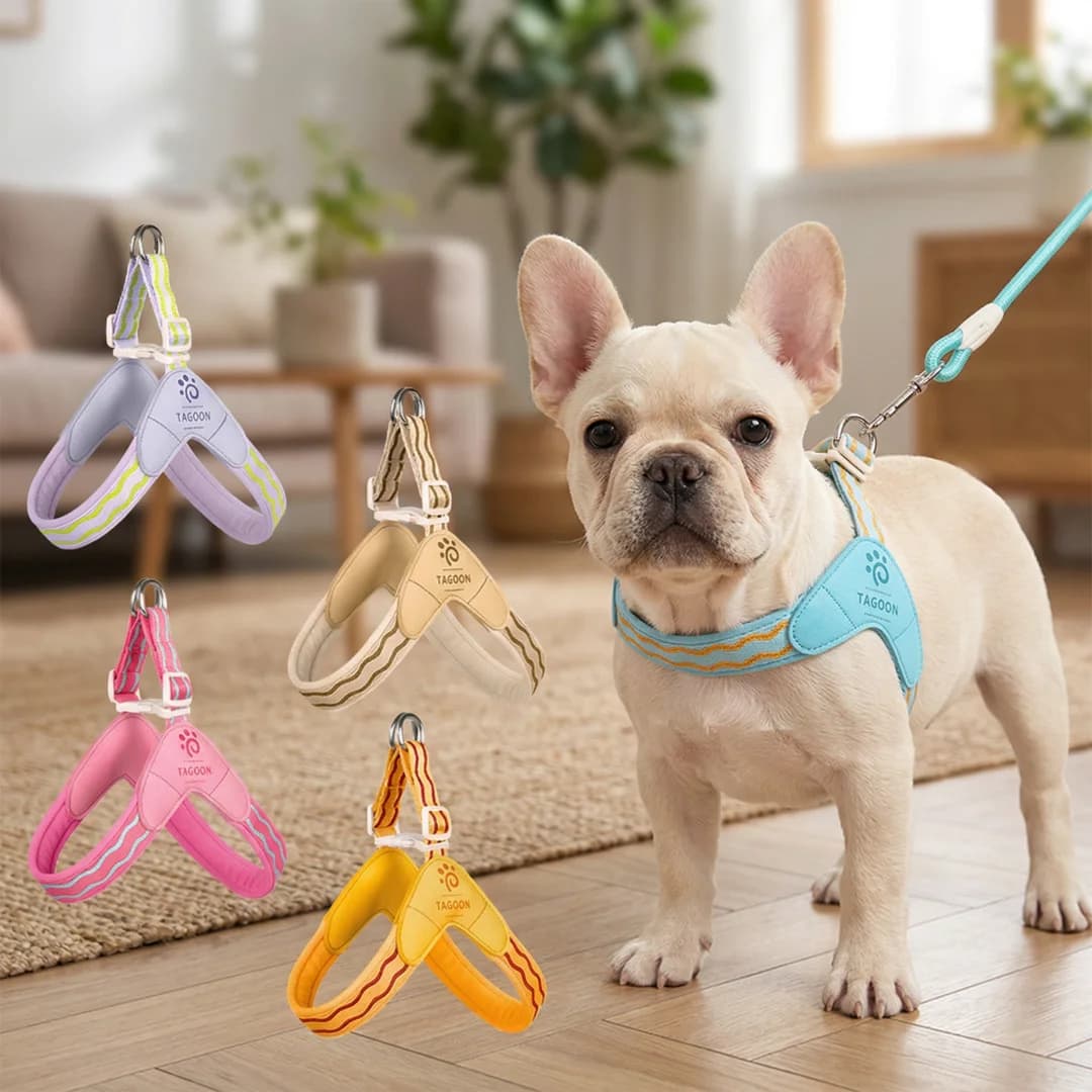 Lightweight Dog Harness for Small Dogs, Soft Breathable Puppy Vest, Adjustable Pet Harness for Walking with Optional leash