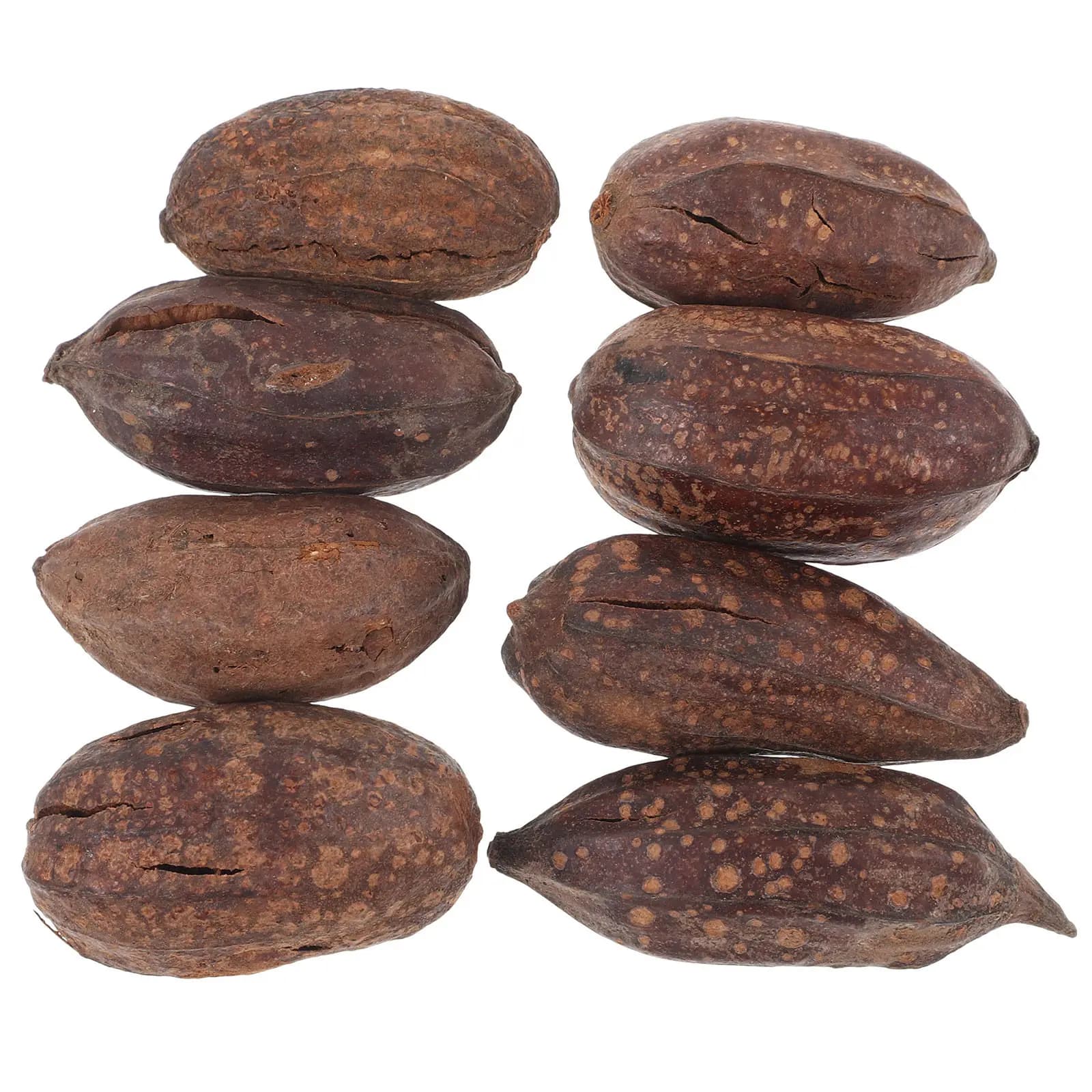 8 Pezzi di Frutta Secca Naturale Decorativa per Uccelli, Accessori per l'Alimentazione di Pappagalli, Pappagallini e Parrocchetti, Ornamento per Gabbie