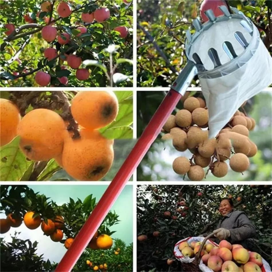 Raccoglitrice di frutta in ferro zincato telescopico multiuso per la raccolta del giardino Raccoglitrice di frutta ad alta quota Attrezzi agricoli Attrezzo agricolo