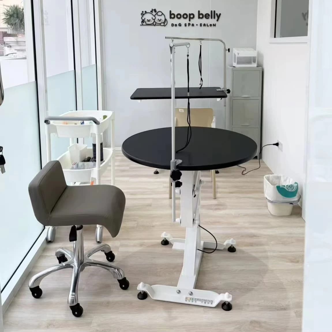 Small Round Pet Grooming Table Aesthetic Design Pet Electric Height-adjustable Hair Trimming Table