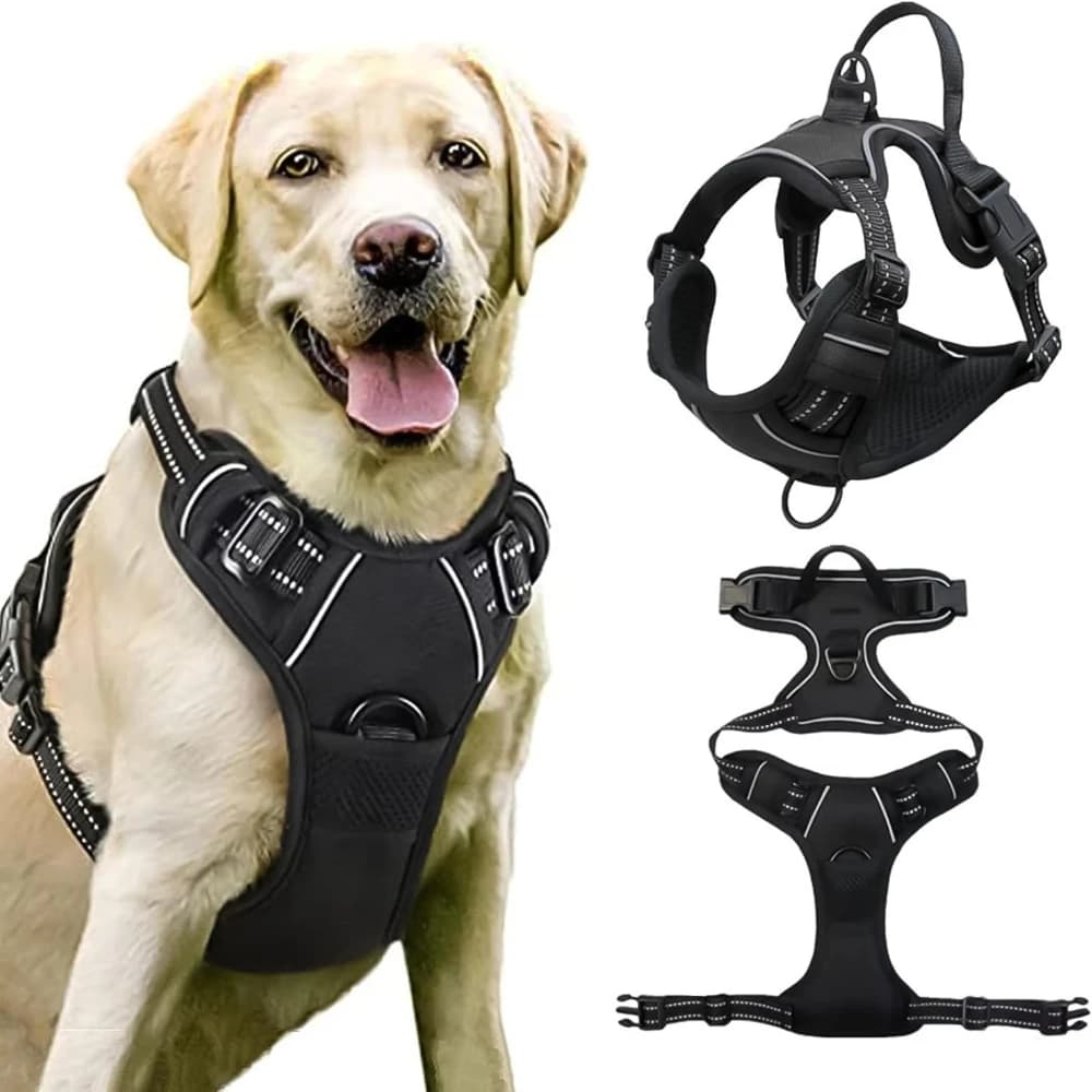 Pettorina per cani Pettorina pettorale senza tirare Trazione per cani Gilet per cani medio Gilet imbottito regolabile Traspirante con nastro riflettente