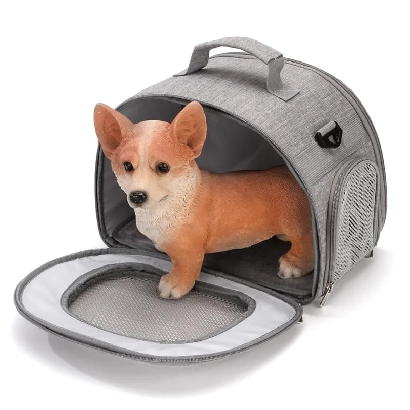 Borsa pieghevole per gatti Viaggio portatile all'aperto Trasportino per animali Piccola borsa portatile per gatti Zaino a tracolla leggero per animali domestici