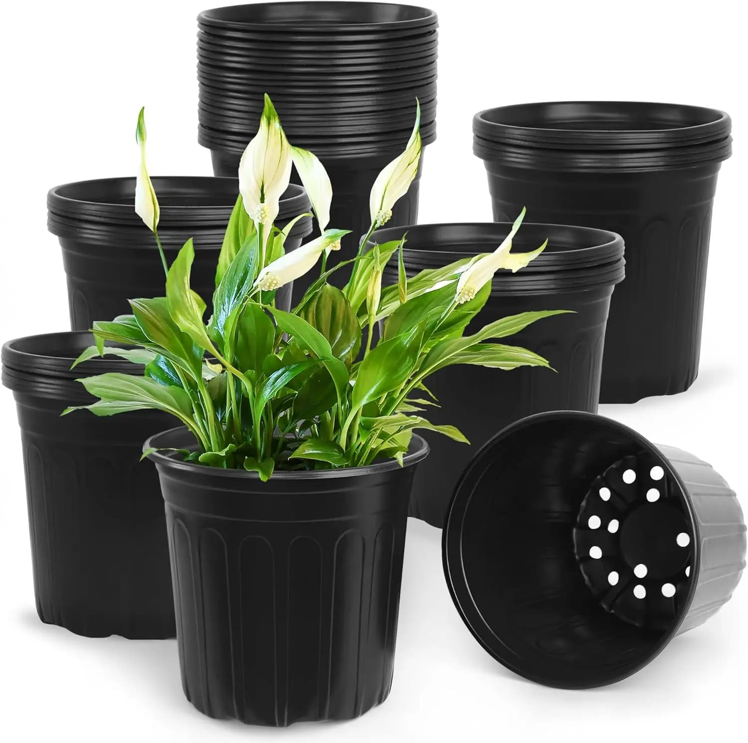 50 Vases from Vivaio by 2 Gallons, Soft Plastic Jars Reinforced with Holes, Containers for Plants and Garden Flowers