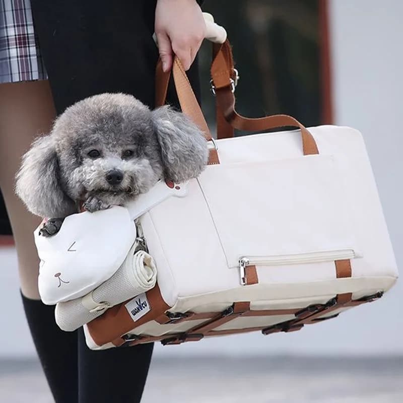 Trasportino per Cani e Gatti da Auto, Sedile Rialzato da Bracciolo, Borsa da Viaggio con Tracolla Facile da Trasportare