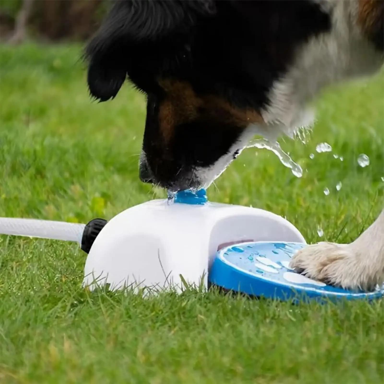 Step on Dog Water Fountain Pet Drinking Dispenser with 162cm Hose Dog Step on Sprinkler Water Pedal for Patio Garden Lawn Yard