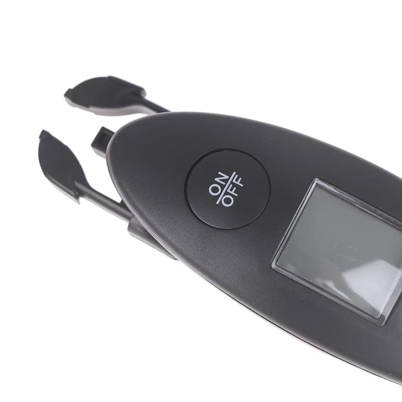 Bilancia Elettronica Tascabile 40kg/100g, Bilancia Digitale Portatile ad Alta Precisione per Bagagli da Viaggio