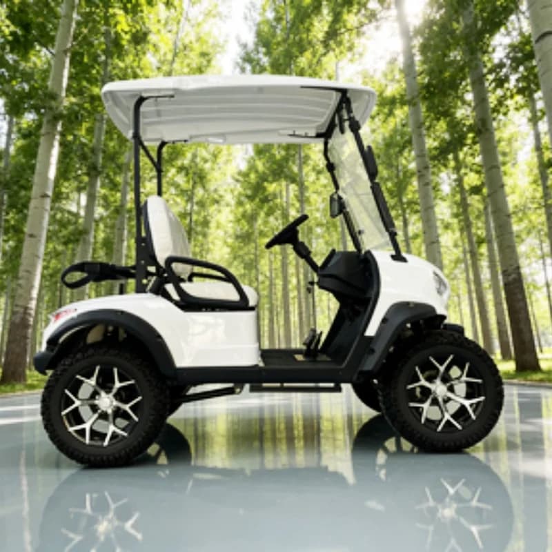 2026 60V Pannello solare al litio 2 posti Club Carrello turistico Carrello da golf elettrico Carrozzeria Telaio in acciaio + Plastica tecnica ABS