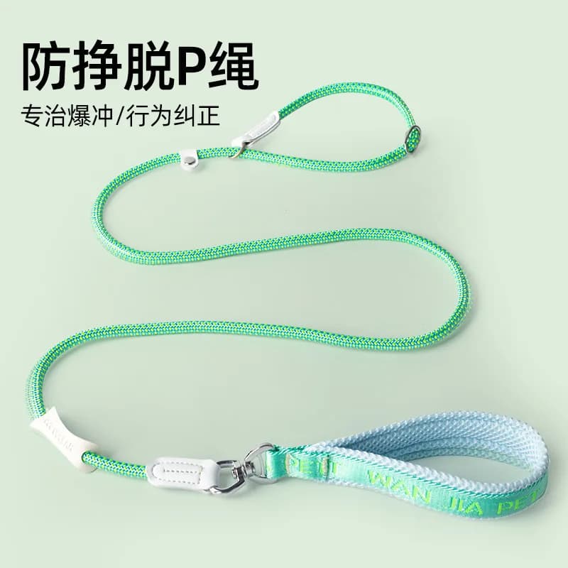 Comfortable Anti-Strain Dog Lead, Soft Handle Pet Leash for Small To Large Breeds, Suitable for Teddy, Corgi & Golden Retriever