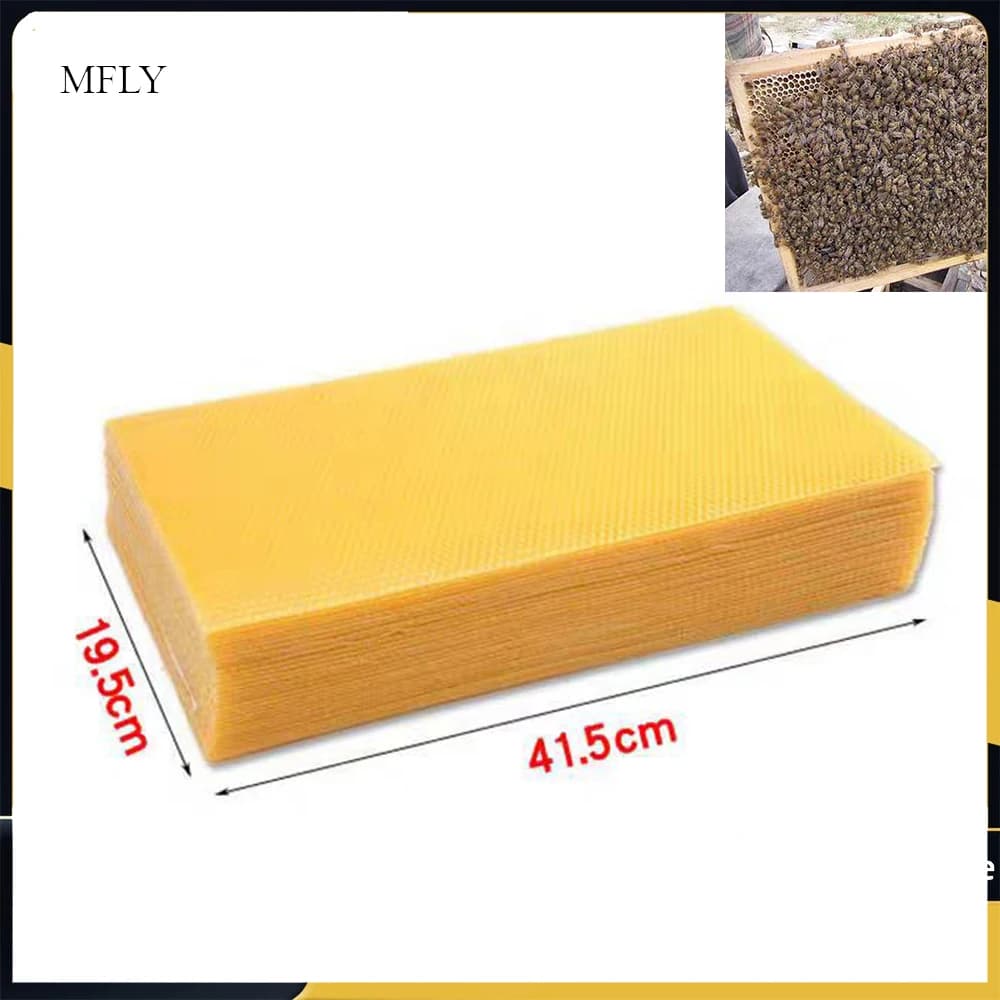 30 pezzi di cera a nido d'ape a nido d'ape per apicoltura, scatola per nido, cera d'api, fogli a nido d'ape, strumenti per apicoltore