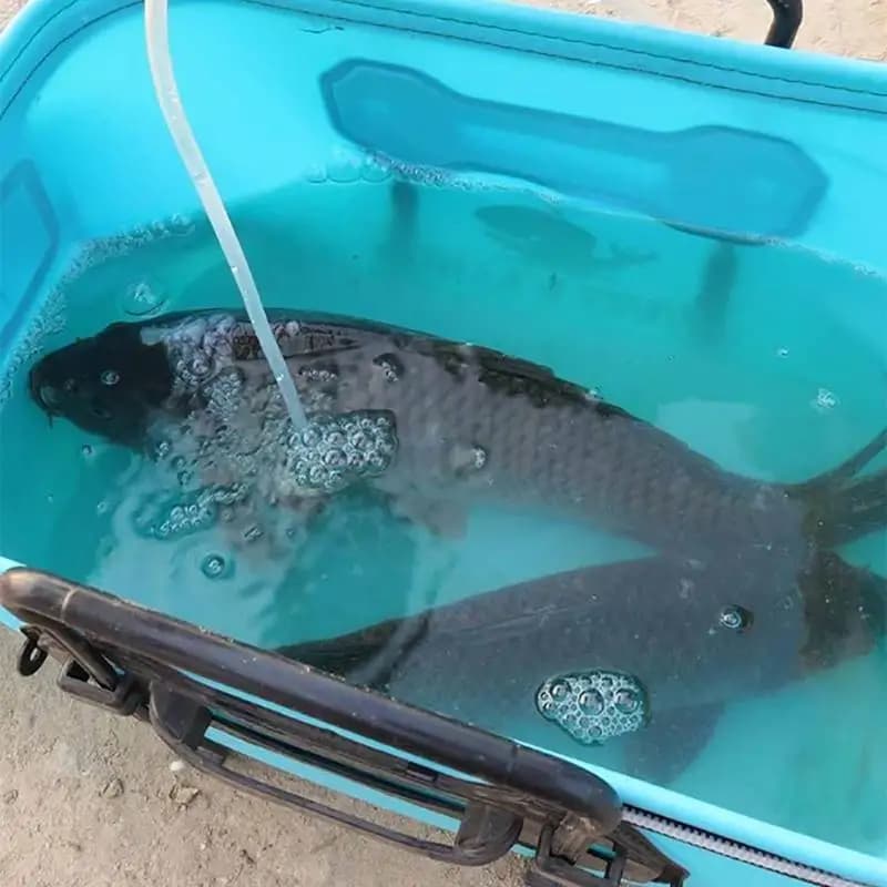 Fishing Bucket Fishing Bag with Handle Fishing Basin Fishing Tackle Foldable Tackle Box Fish Fishing Barrels Container