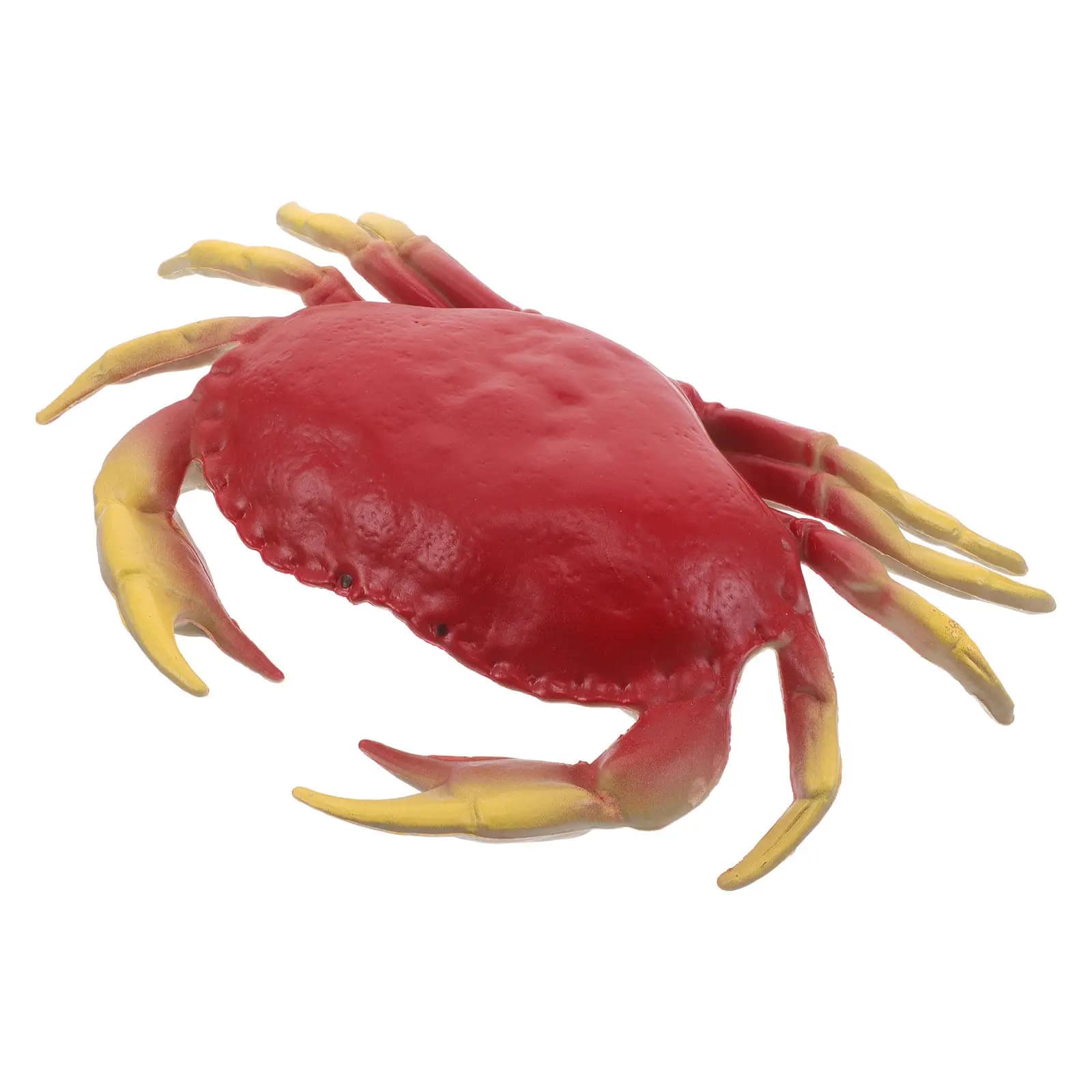 Simulation Crab Realistic Sea Animal Ornament for Ocean Creatures Early Education Photography Display Crab Toy
