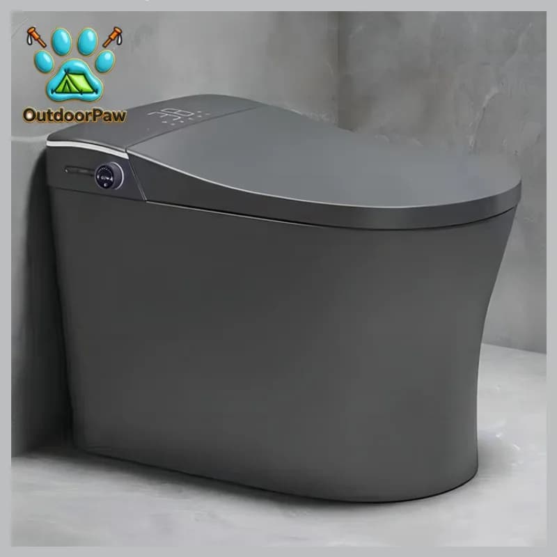 Sanitary Ware Grey Ceramic Intelligent Toilet Bathroom Automatic Wc Commode Smart Toilet for Hotel Bathroom