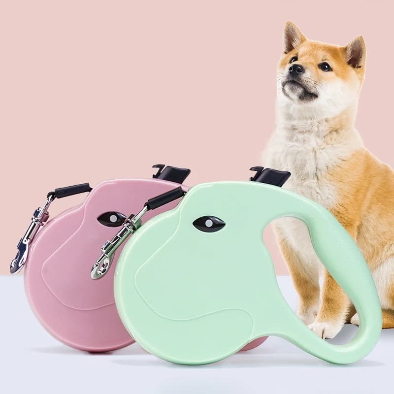 5 m dog steering, auto retractable nylon traction rope, pet belt, roulette leash, product for the extension of racing lead for puppies