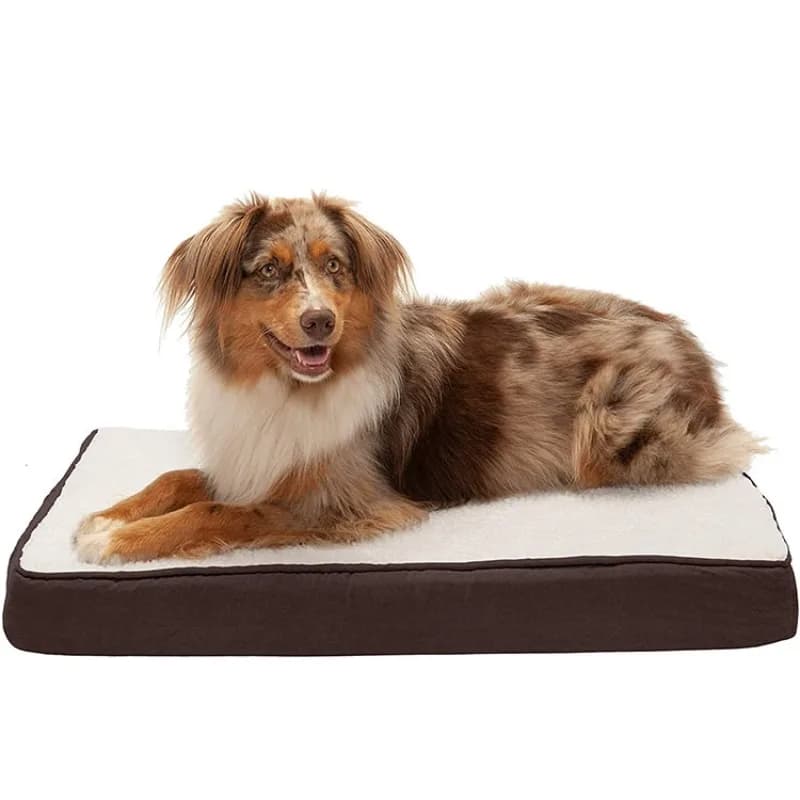 Cuccia per cani, letto caldo per cani, tappetino antiscivolo in cotone ispessito