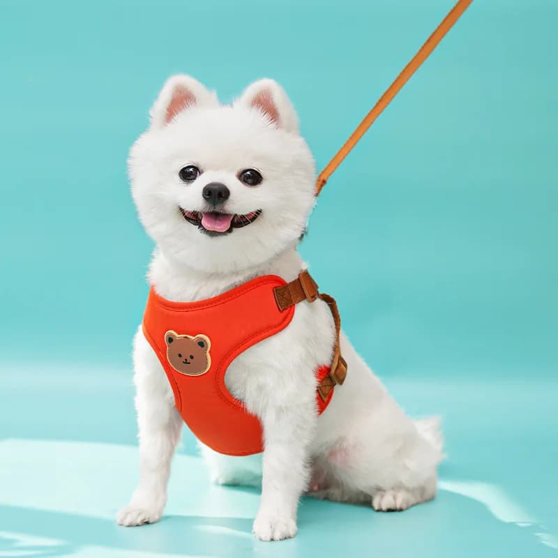 Cute Bear Pet Harness with Leash for Small Medium Dogs Cat Adjustable Soft Breathable Vest Vest Outdoor Walking Training Gear fo