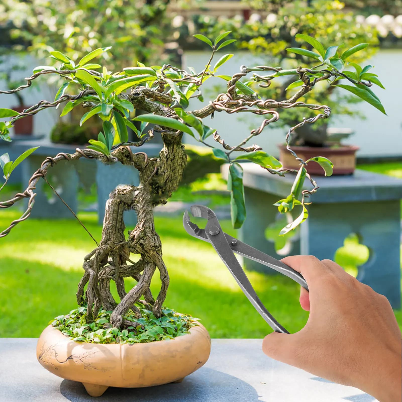 Hedge Shears Carbon Steel Long Sharp Blades Lightweight Cushioned Handles Garden Pruner Plant Clippers Tree Branch Trimmer