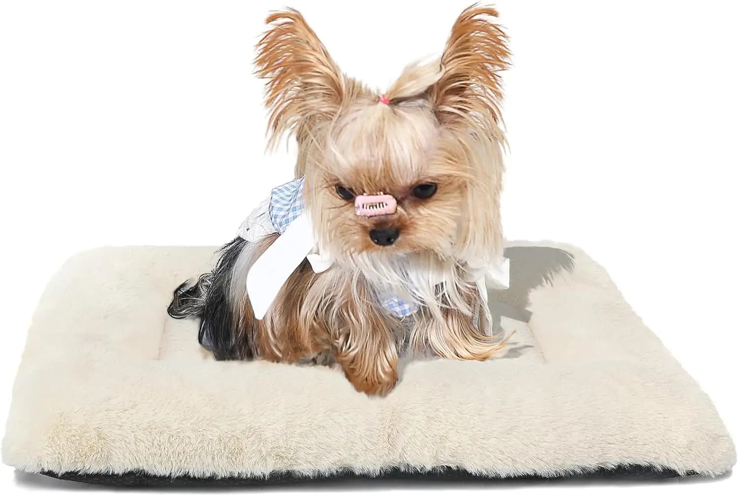 Cuccia Piatta Ultra Morbida per Cani Piccoli 18x12 Pollici, Lavabile e Antiscivolo, Tappetino Comodo per Dormire, Beige
