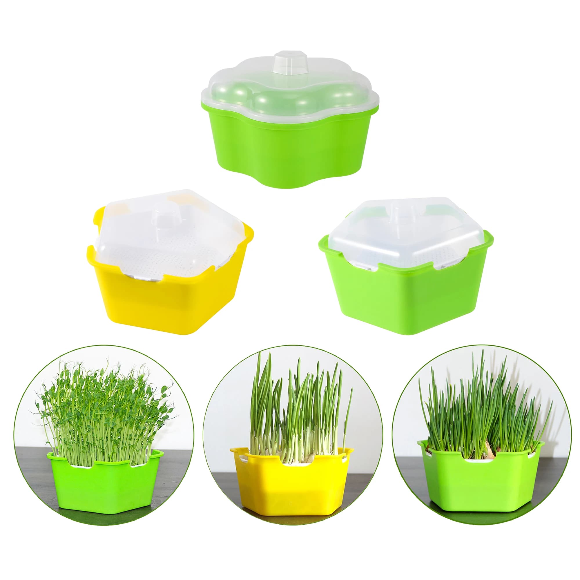 Semi Tray Perfor germination tray for sprouts box for seed basket for groundless hydroponic flowers box for planting sprouts