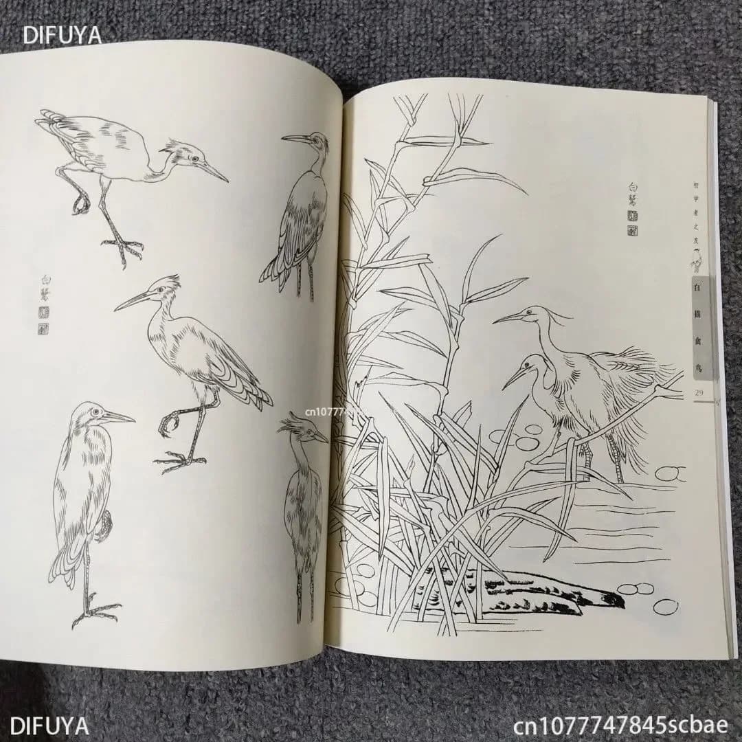 Chinese Painting Sumi-e Beginner Outline Sketch Tattoo Reference Book Peony Line DrawingBOOKS