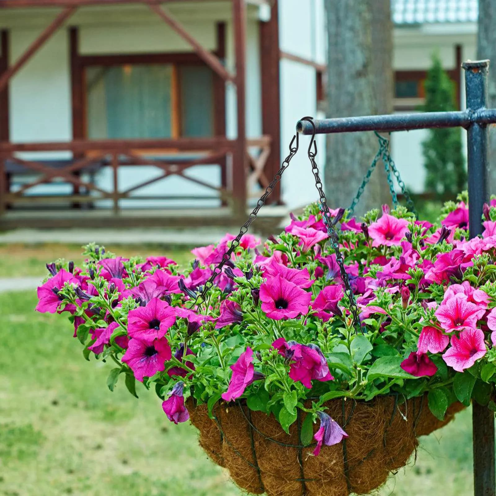 5Pcs Double Hook Hanging Chain Black Iron Chain for Bird Cages Planters Lanterns Wind Chimes Signs Sturdy Decorative Indoor