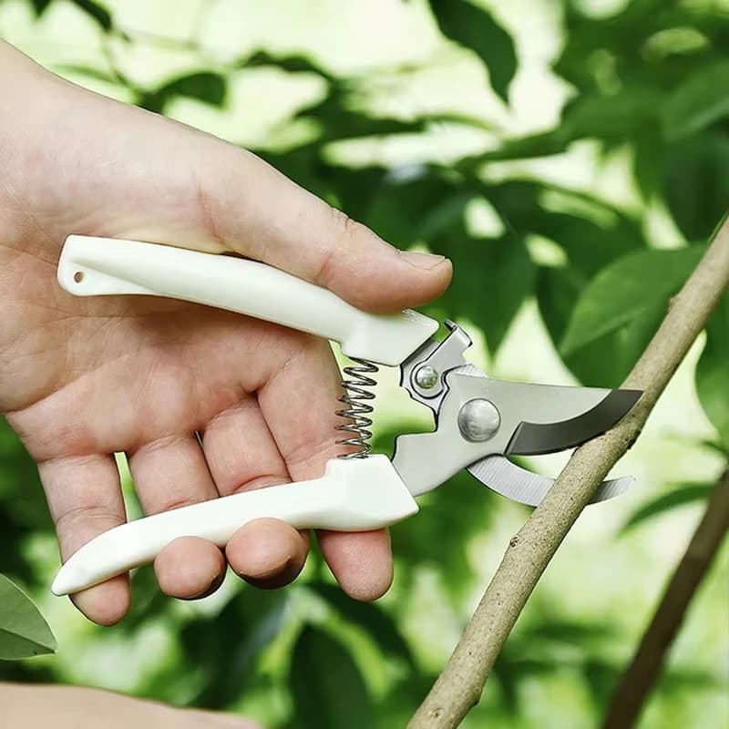 Forbici da Potatura Multiuso in Acciaio Inossidabile, Cesoie da Giardino per Taglio di Fiori, Alberi da Frutto e Innesto