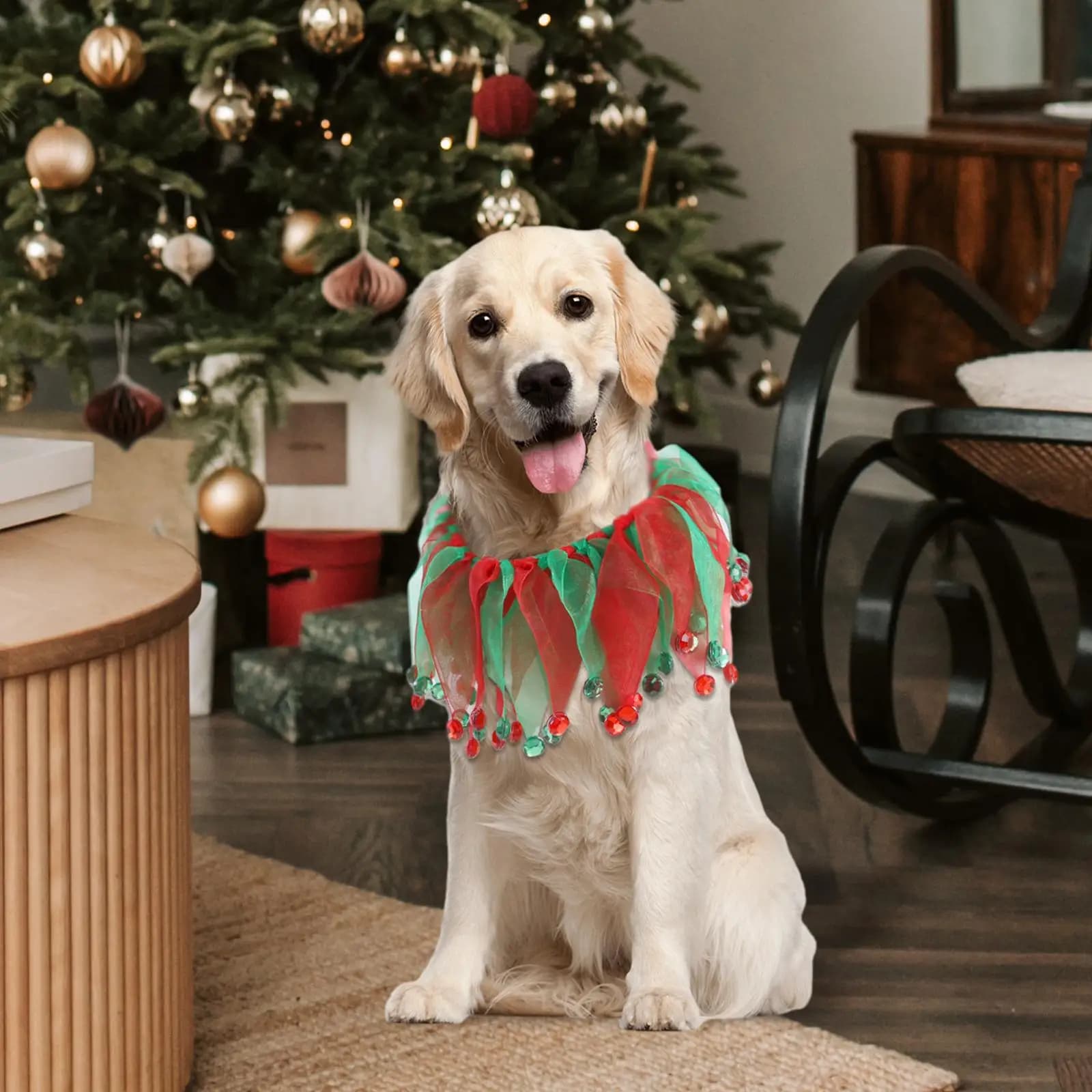 Collari per cani di Natale per feste a tema di compleanno, regalo di compleanno per animali domestici