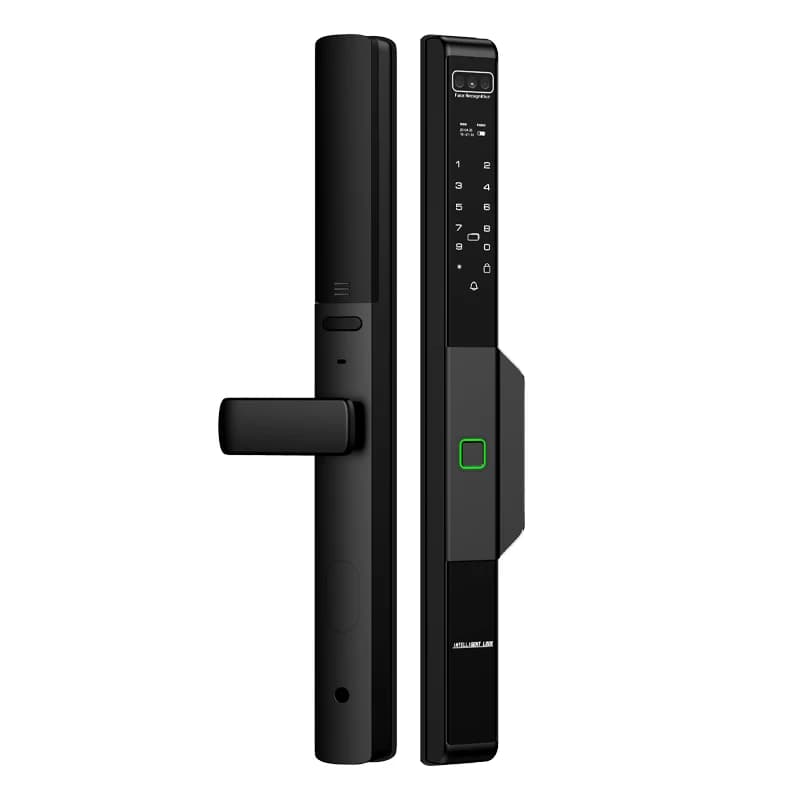 XSDTS DQ04 Tuya APP telecomando impermeabile esterno 3D riconoscimento facciale intelligente biometrico multi sblocco serratura intelligente digitale
